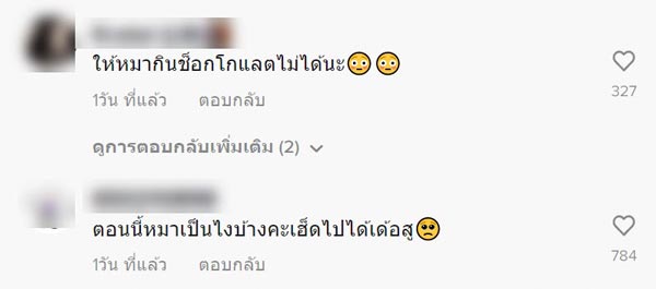 ครูไพบูลย์ ให้หมากินช็อกโกแลต