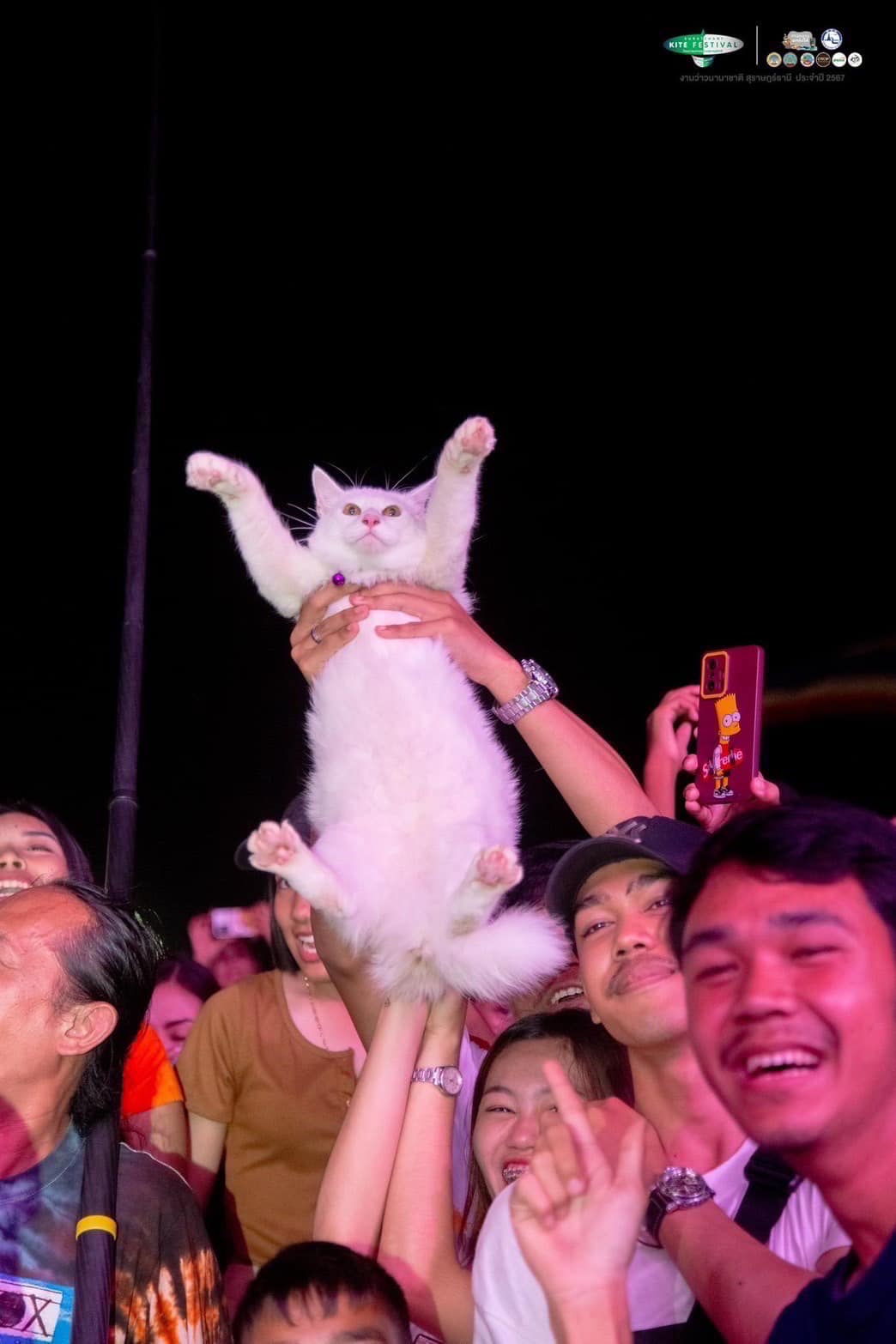 ดูคอนเสิร์ต