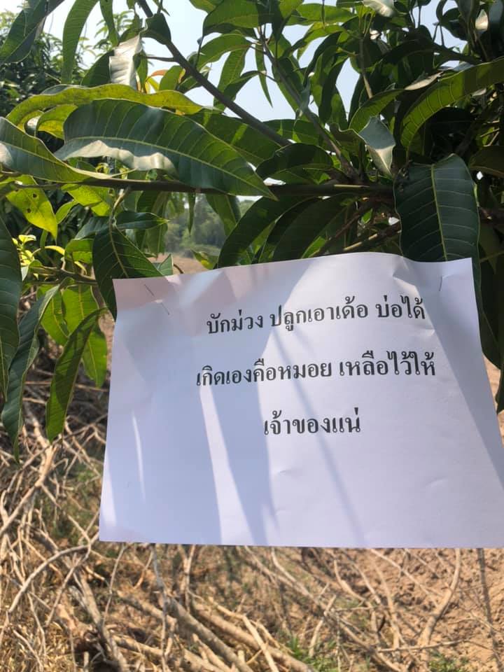 ป้ายเตือนขโมย