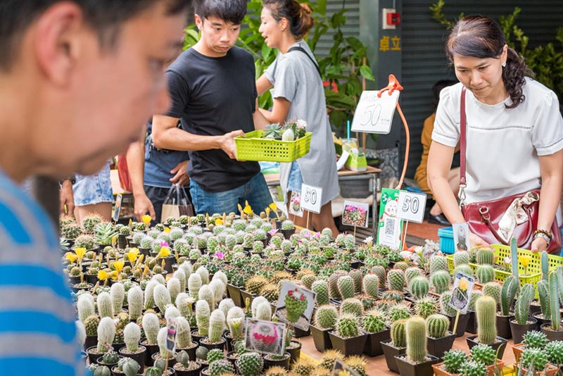 ตลาดต้นไม้