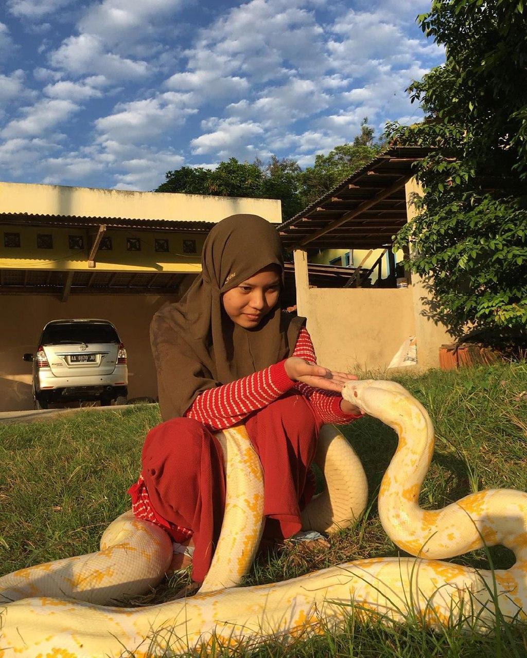 เลี้ยงงูเหลือม