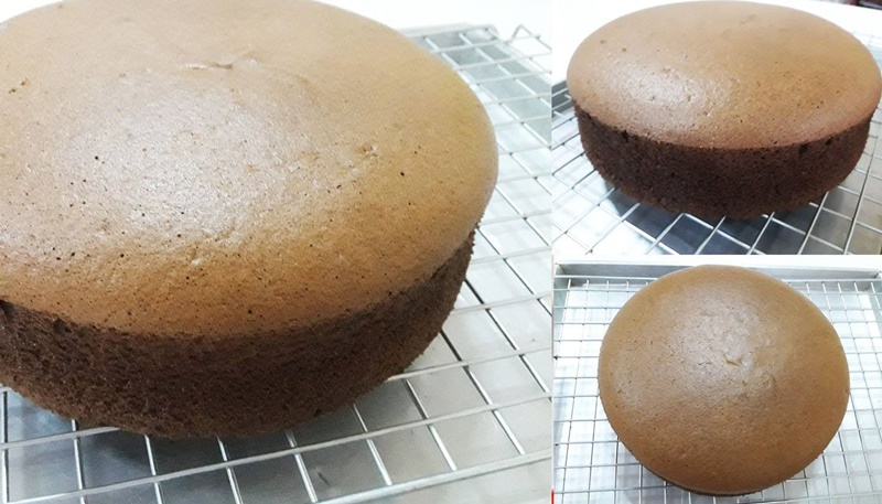 ชิฟฟ่อนเค้ก