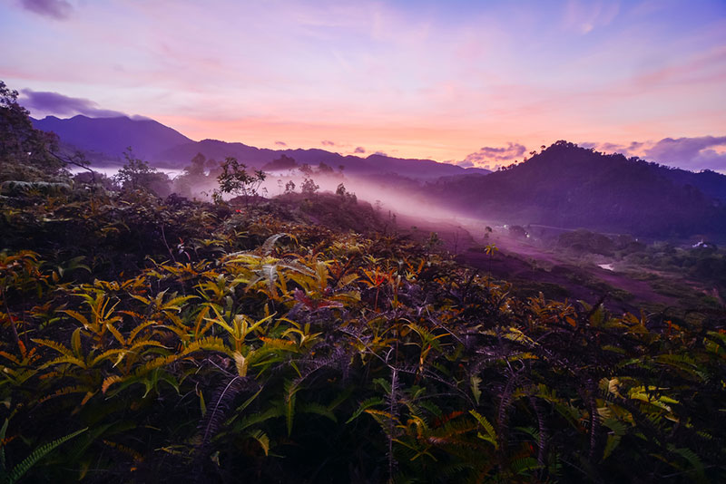 ที่เที่ยวนครศรีธรรมราช