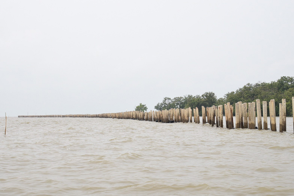 การไฟฟ้านครหลวง