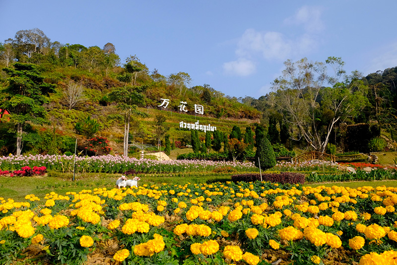 ที่เที่ยวเบตง ยะลา