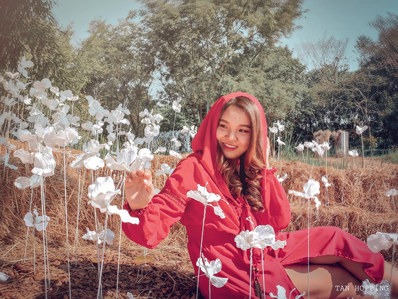 งานรักดอกราชบุรี