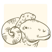 สีเล็บเสริมดวง