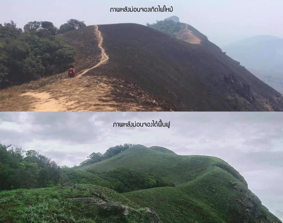 ดอยม่อนจอง