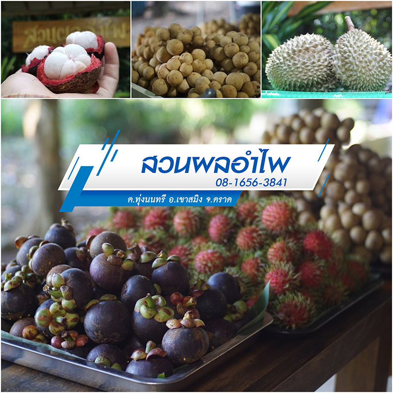 สวนผลไม้ตราด 2565