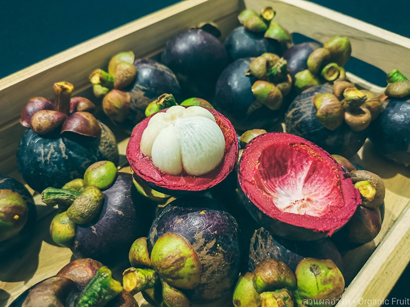 สั่งมังคุดออนไลน์