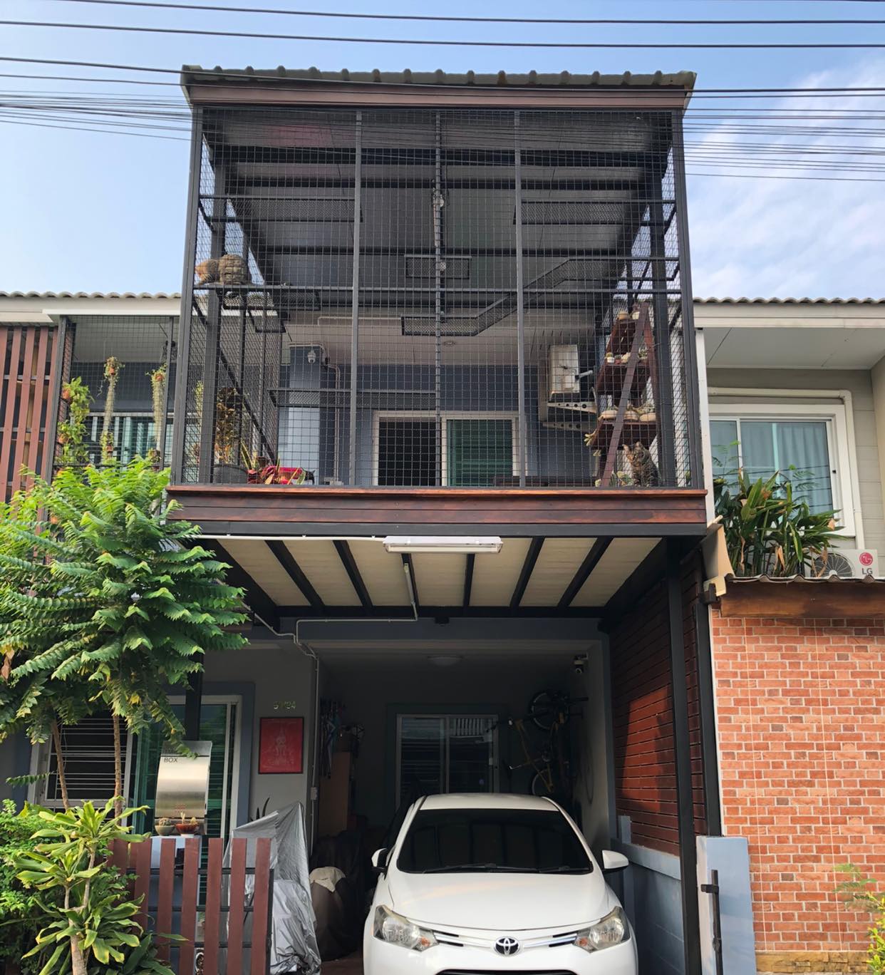 สร้างบ้านแมว