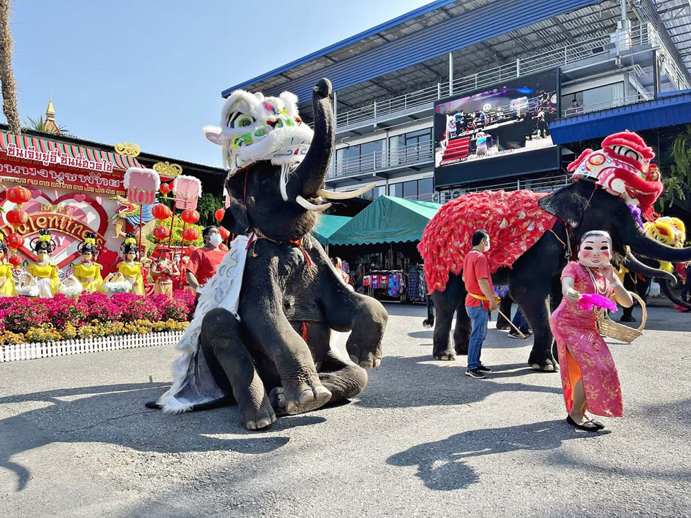 ตรุษจีน 2564 สวนนงนุชพัทยา