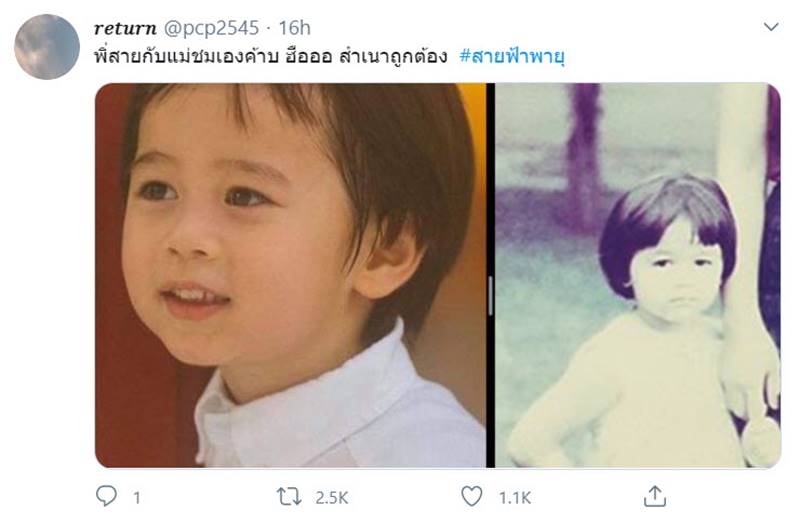 น้องสายฟ้า น้องพายุ