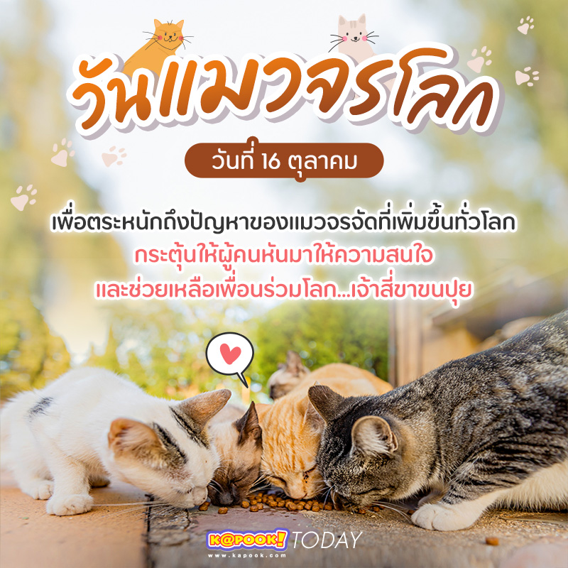 วันแมวจรโลก