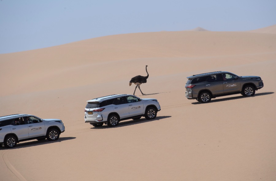 ทะเลทรายนามิเบีย