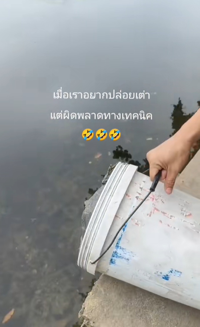 ปล่อยเต่า