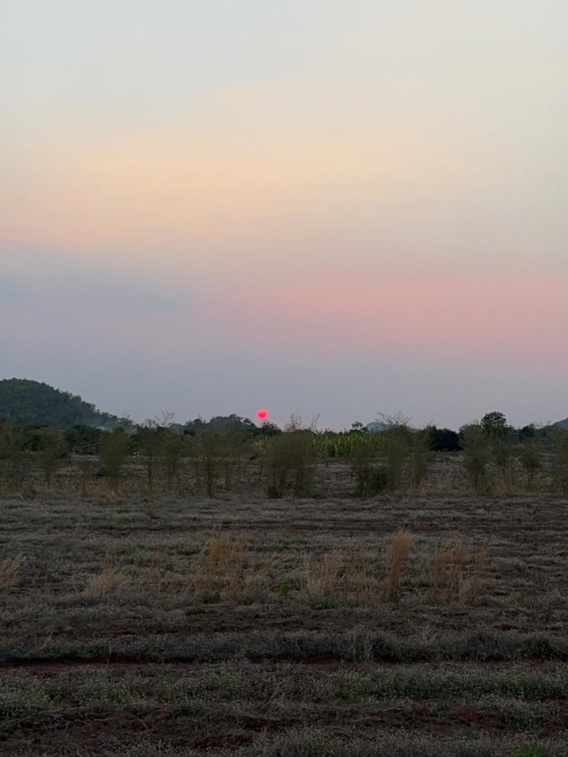 บ้านสวน โบว์ เมลดา