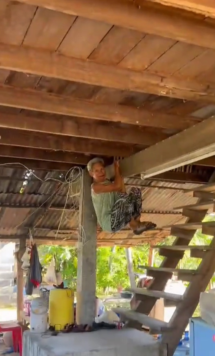 งูเข้าบ้าน