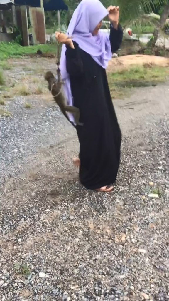 พรีเซ็นต์งาน