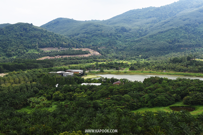 ป่าวังจันทร์