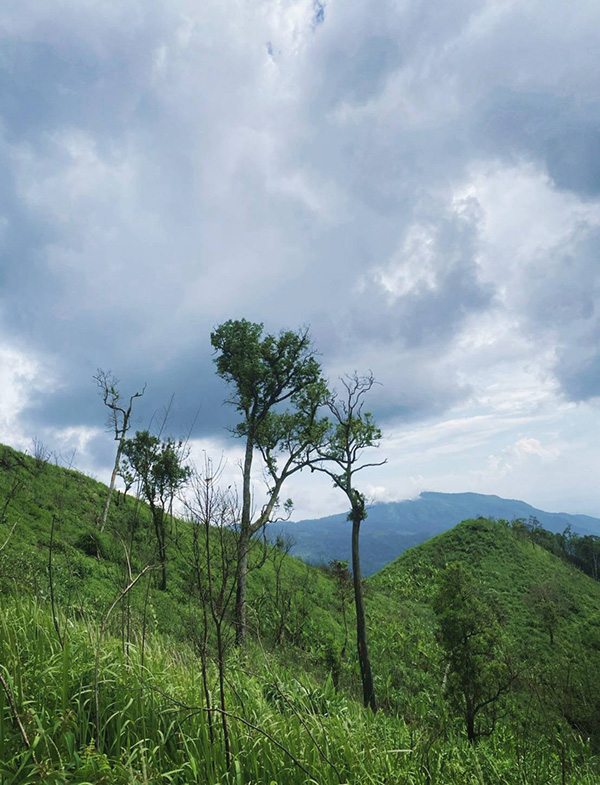 ภูอานม้า พะเยา