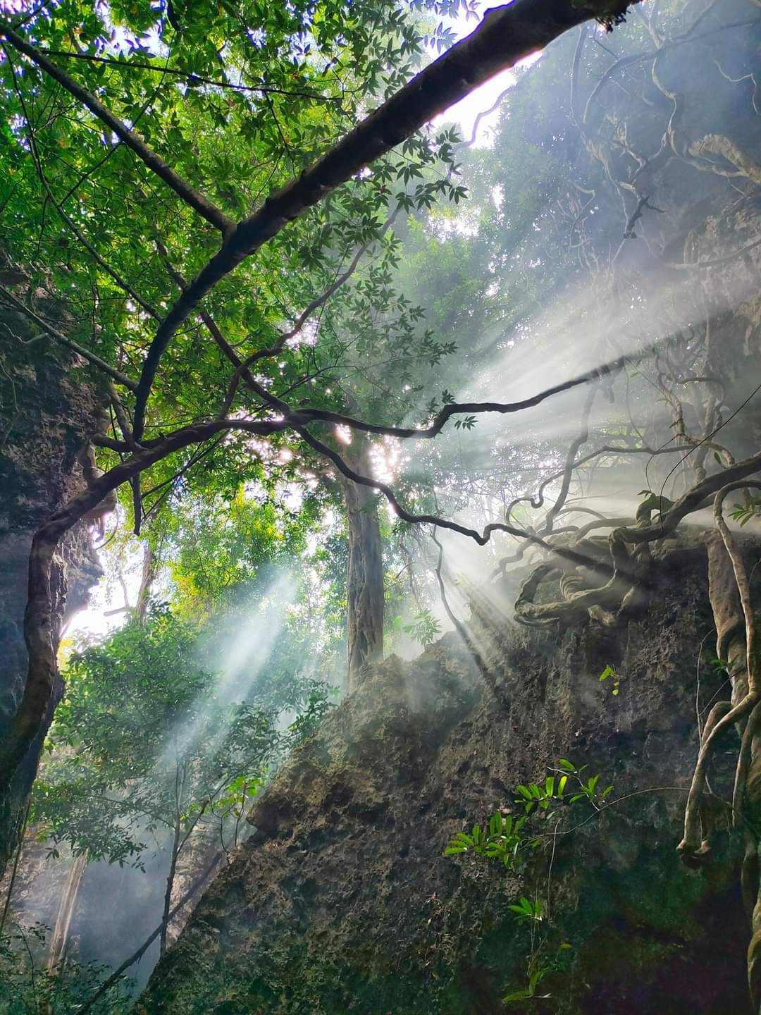 วัดถ้ำโพธิสัตว์