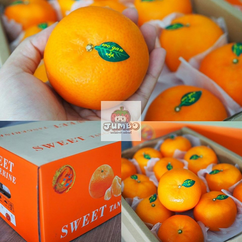 ร้านผลไม้ออนไลน์