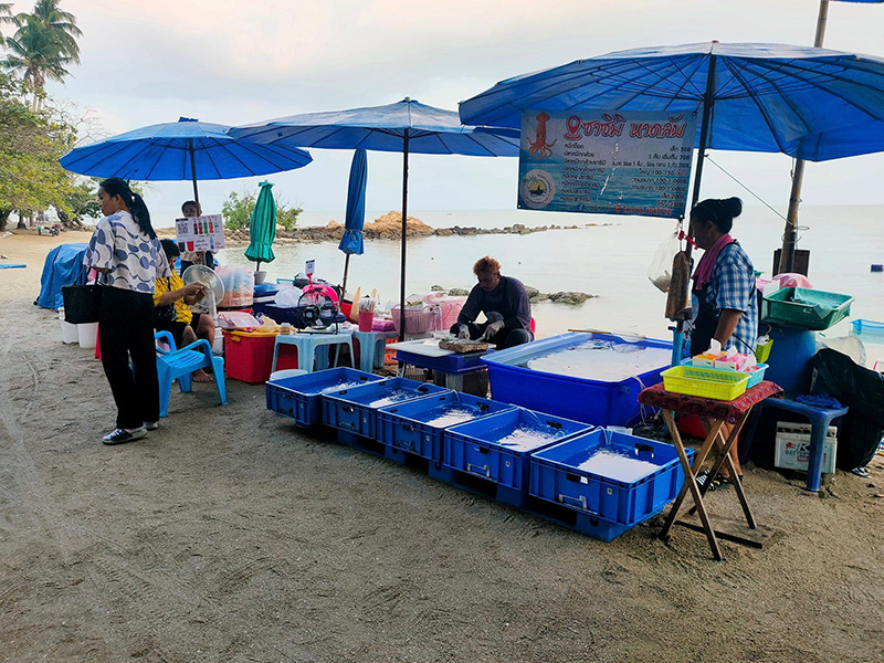 บรรยากาศร้าน ซาซิมิ หาดลับ นาเกลือ 18