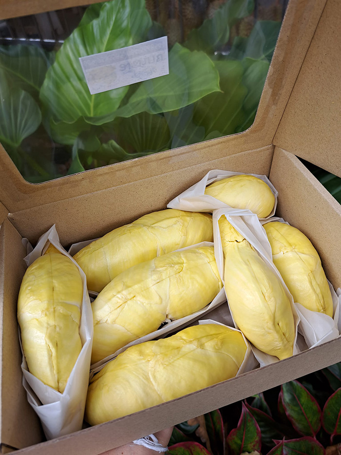 สวนผลไม้ระยอง