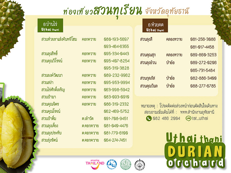 สวนทุเรียน อุทัยธานี