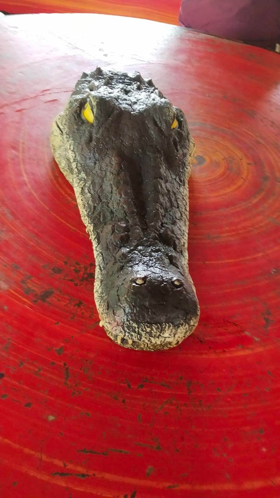 หัวจระเข้