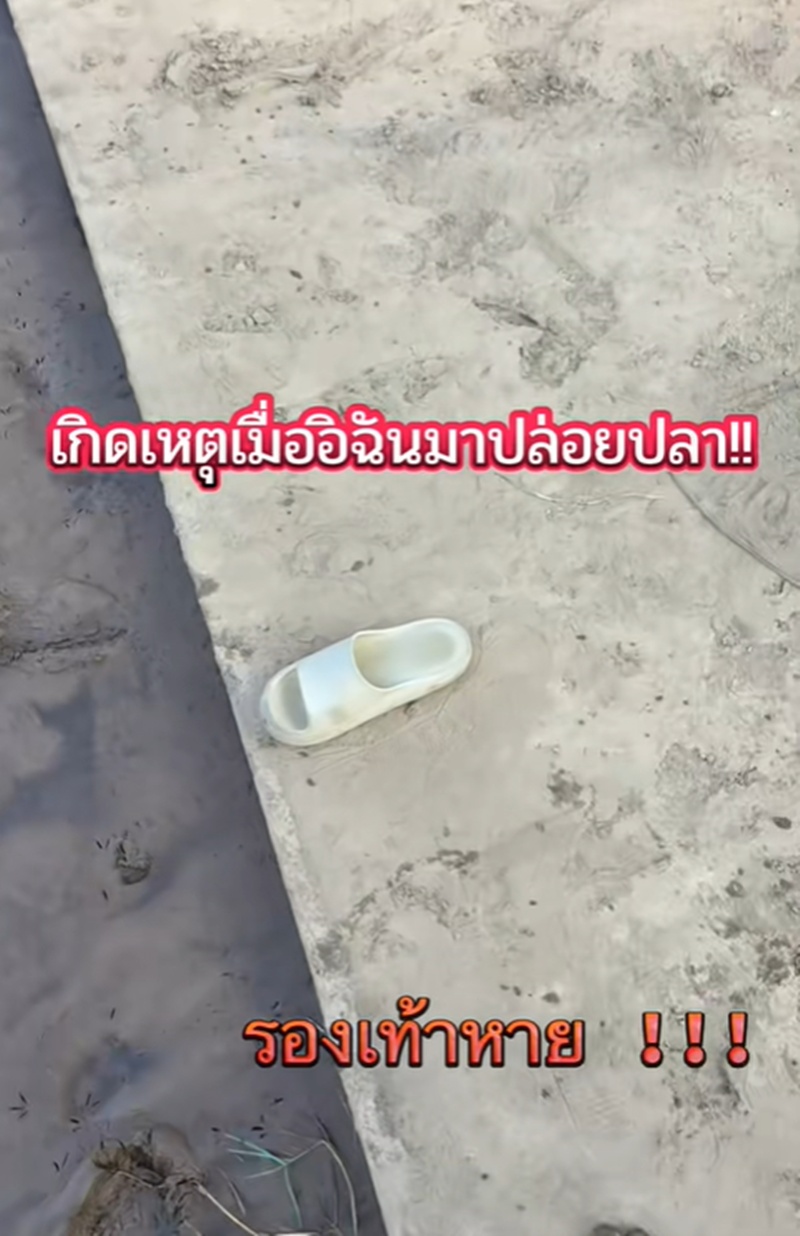 ทำบุญปล่อยปลา