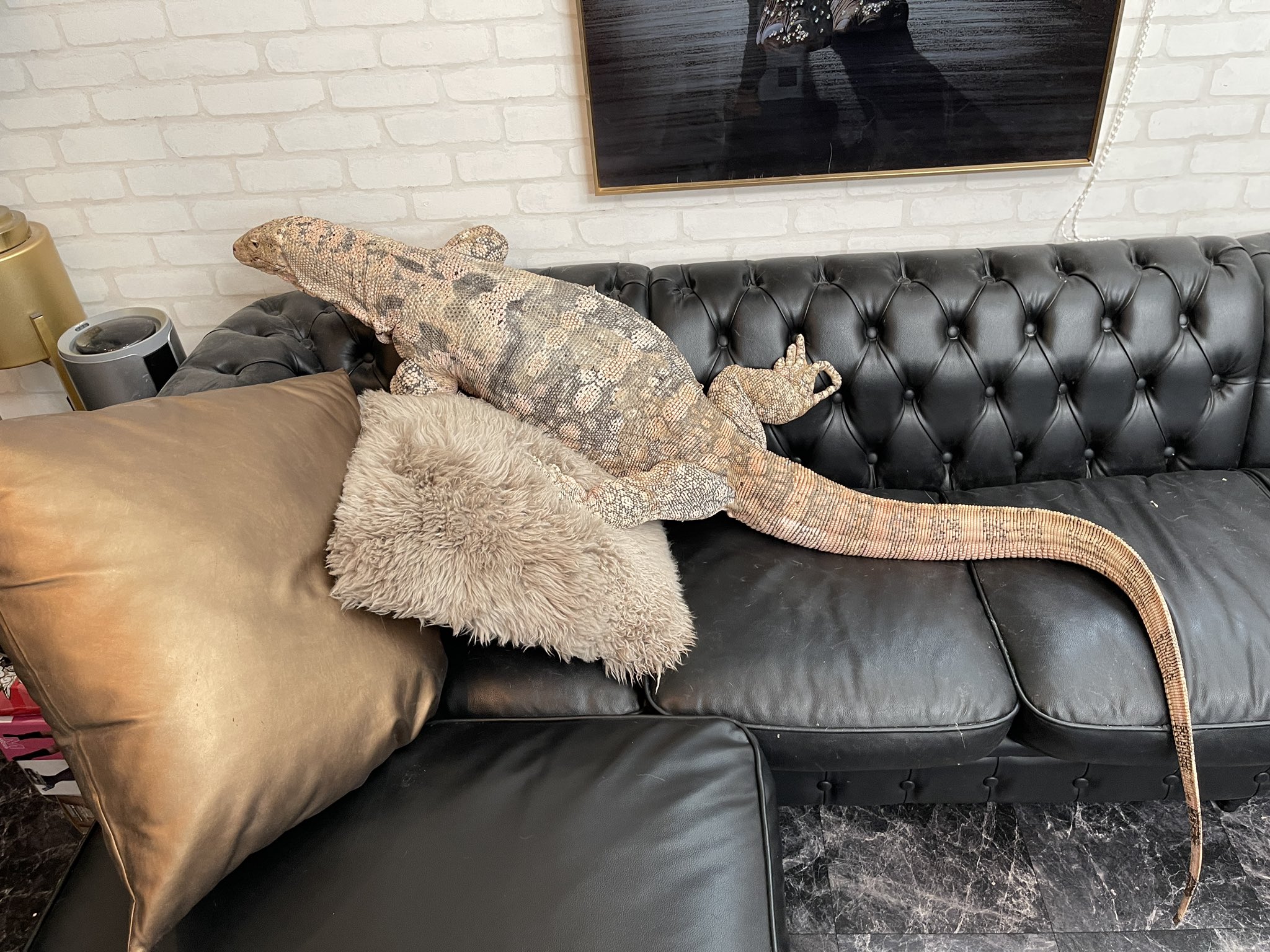 ตัวเงินตัวทอง