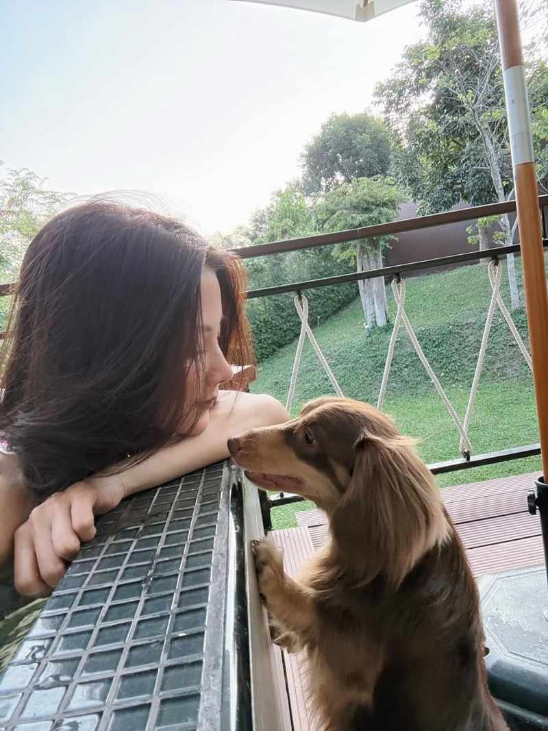 ใบเฟิร์น พิมพ์ชนก