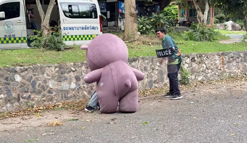 หมูเด้ง