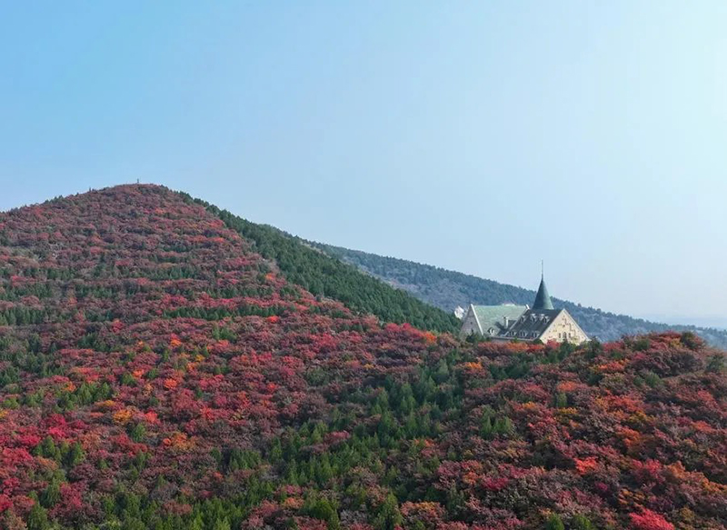 กำแพงเมืองจีน ด่านหวงหยากวน ใบไม้เปลี่ยนสี