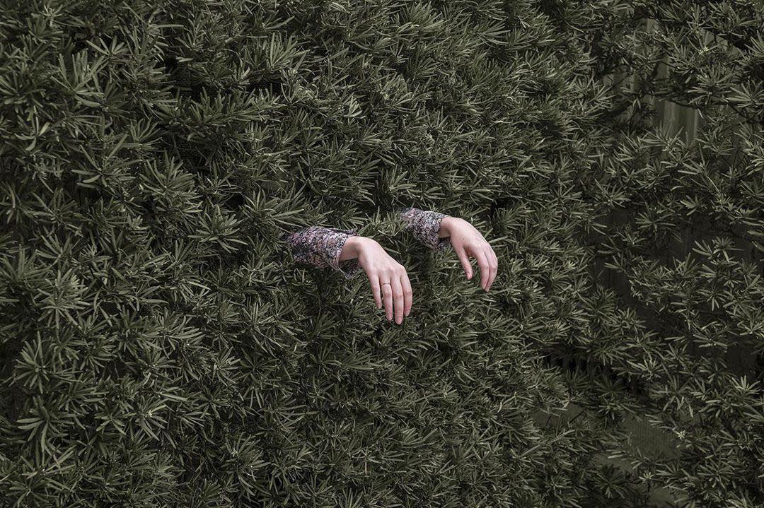 ภาพถ่ายแนวเซอร์เรียล