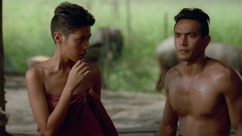 หนังไทย 100 ล้าน