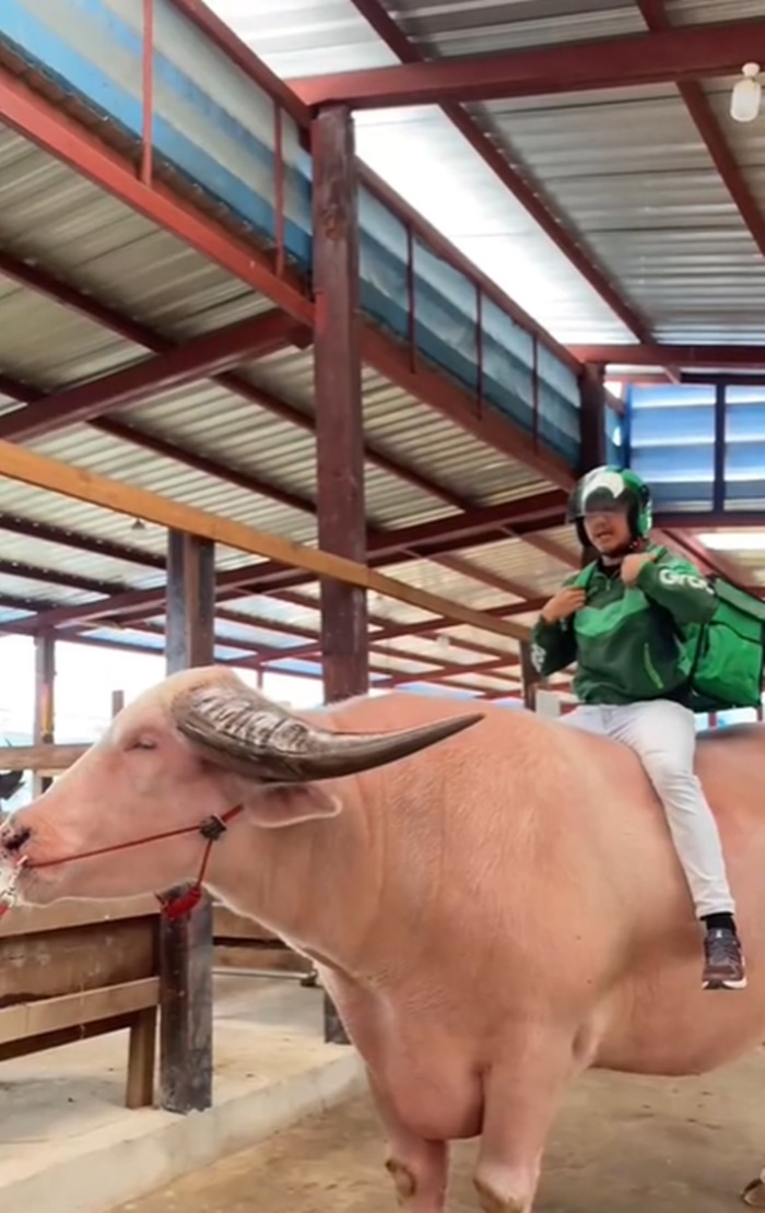 ส่งอาหาร