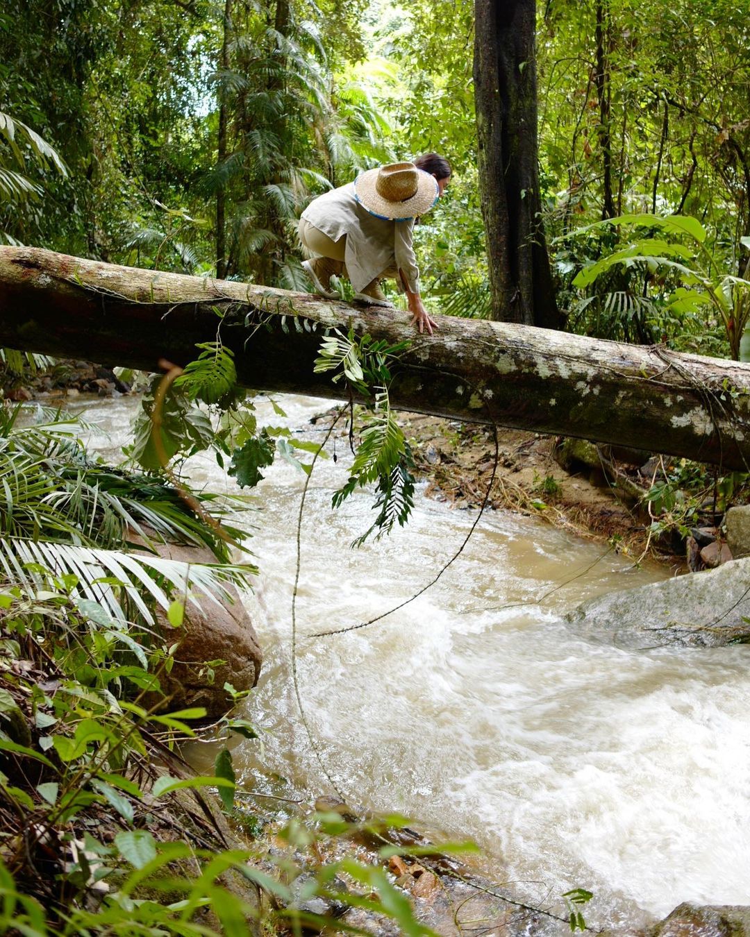 เชอรี่ เข็มอัปสร