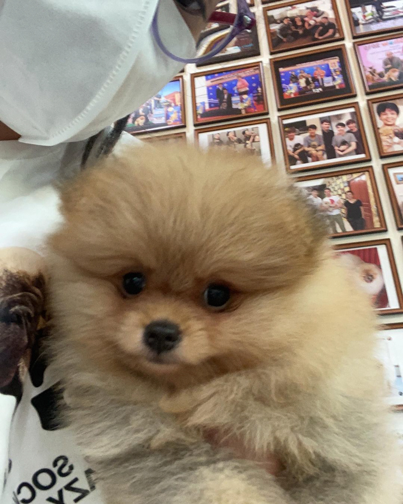 น้องณดา