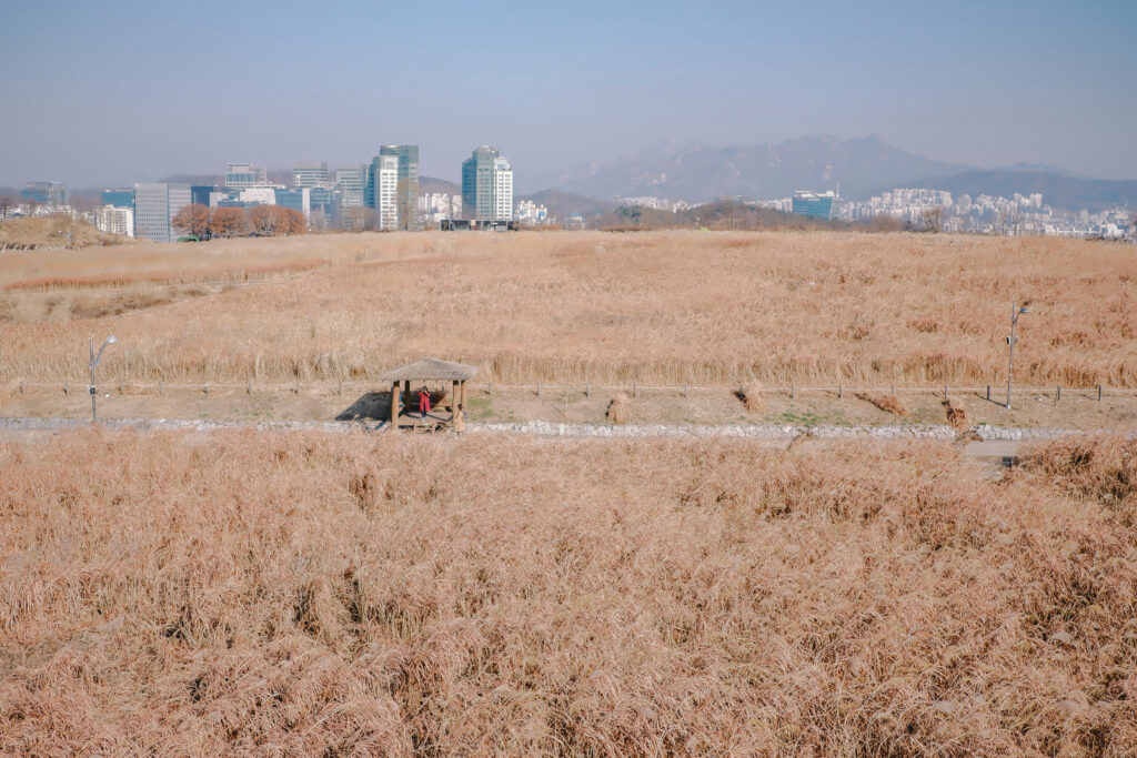 เที่ยวเกาหลี