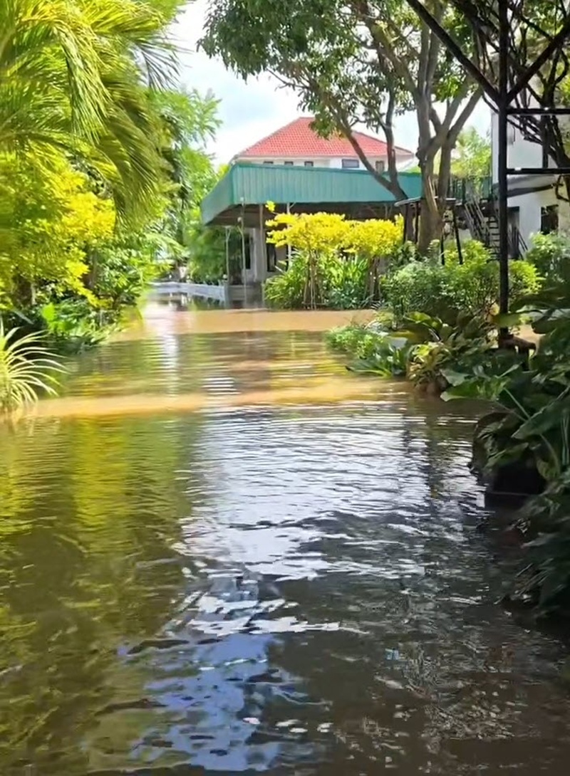 บ้านเรือนไทย แต้ว ณฐพร น้ำท่วมหนักมาก