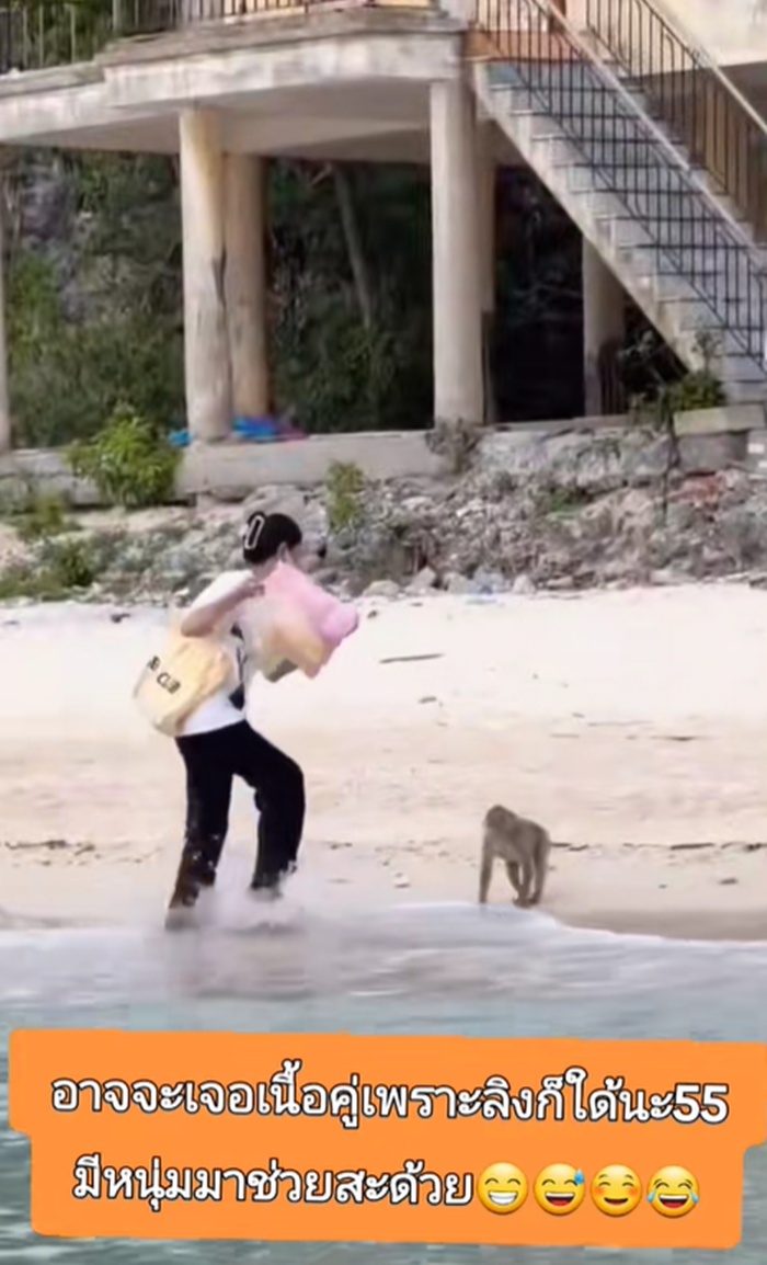 ลิงป่วน