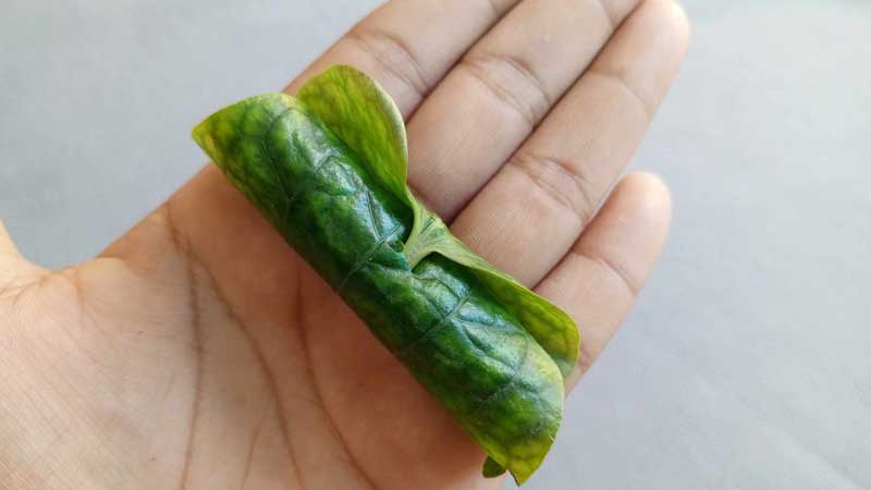 สูตรหมูย่างใบชะพลู