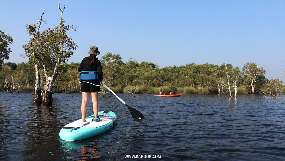 เที่ยวระยอง