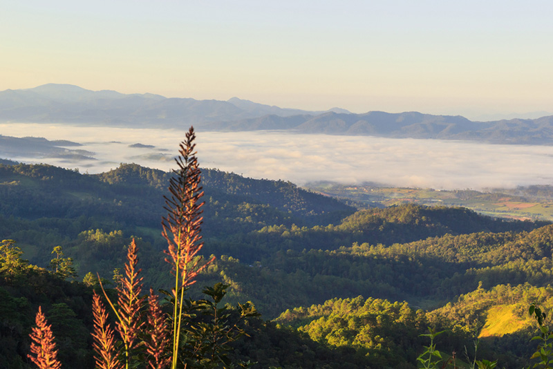 อำเภอเวียงแหง