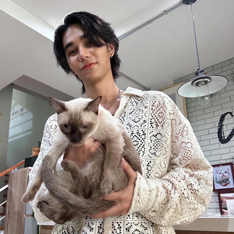 เจฟ ซาเตอร์