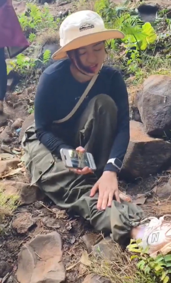 เดินป่า