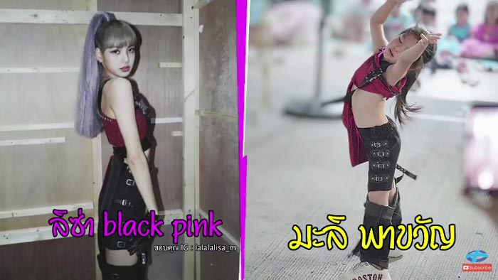 โบว์ แวนด้า น้องมะลิ